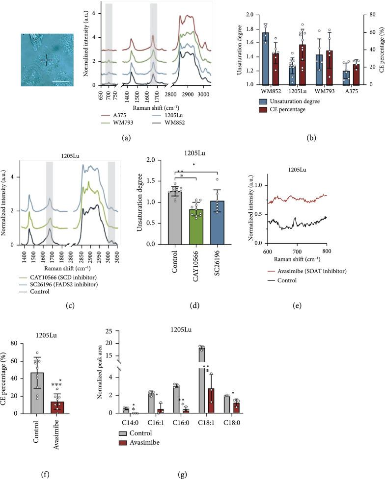 https://cdn.ncbi.nlm.nih.gov/pmc/blobs/7ca9/10521760/ac70933d22b1/9860123.fig.002.jpg