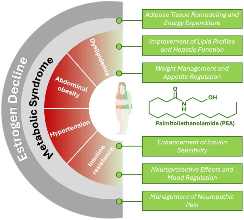 https://cdn.ncbi.nlm.nih.gov/pmc/blobs/7cb5/11677032/bb02ed1b09d9/nutrients-16-04313-g001.jpg