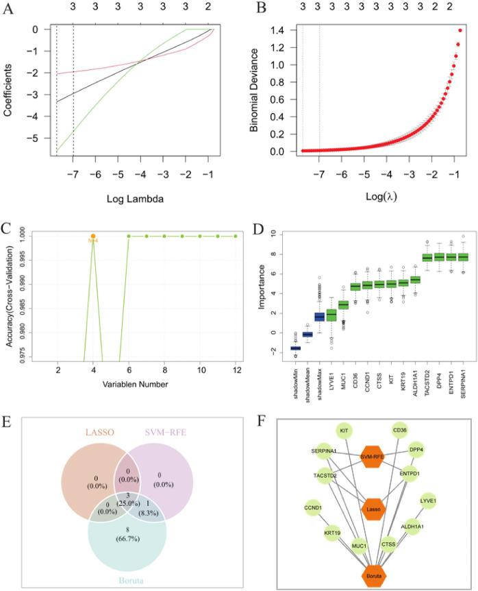https://cdn.ncbi.nlm.nih.gov/pmc/blobs/7cb5/12162626/3873d4e80484/fgene-16-1536198-g002.jpg