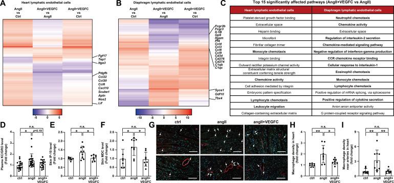 https://cdn.ncbi.nlm.nih.gov/pmc/blobs/7cbc/7695461/900cb233189e/elife-58376-fig4.jpg