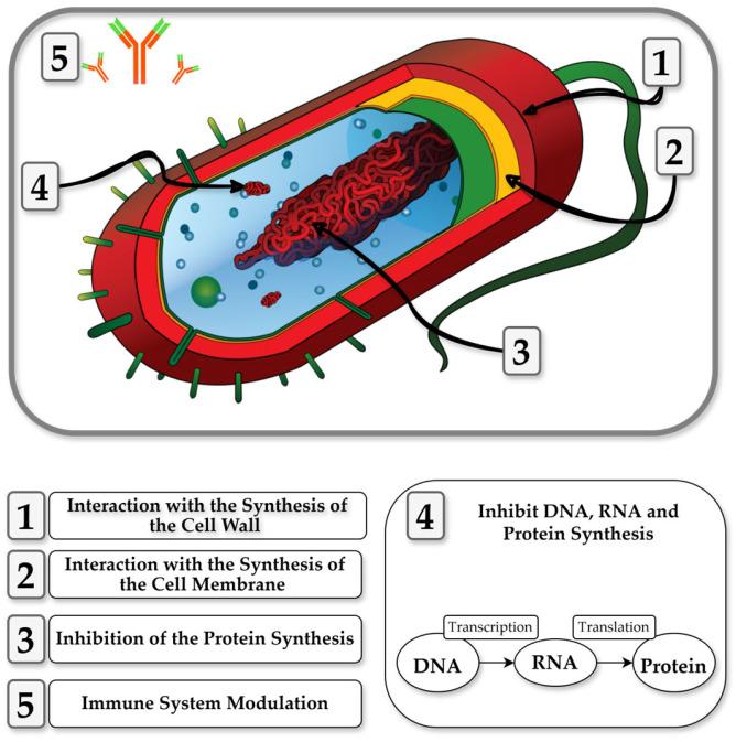 https://cdn.ncbi.nlm.nih.gov/pmc/blobs/7cc2/12114164/c236691febc4/nutrients-17-01615-g003.jpg