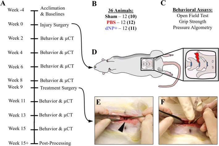 https://cdn.ncbi.nlm.nih.gov/pmc/blobs/7cd3/12081325/0c160854e03b/JSP2-8-e70073-g008.jpg