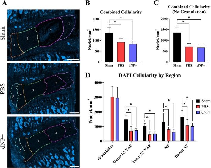 https://cdn.ncbi.nlm.nih.gov/pmc/blobs/7cd3/12081325/9c11cede6709/JSP2-8-e70073-g004.jpg