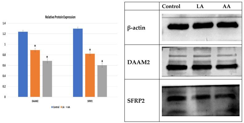 https://cdn.ncbi.nlm.nih.gov/pmc/blobs/7cf4/10933971/f7d33f811ba2/nutrients-16-00706-g004.jpg