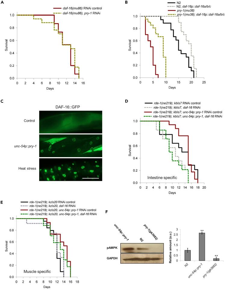 https://cdn.ncbi.nlm.nih.gov/pmc/blobs/7cfb/7724191/76c8597f11cf/gr6.jpg