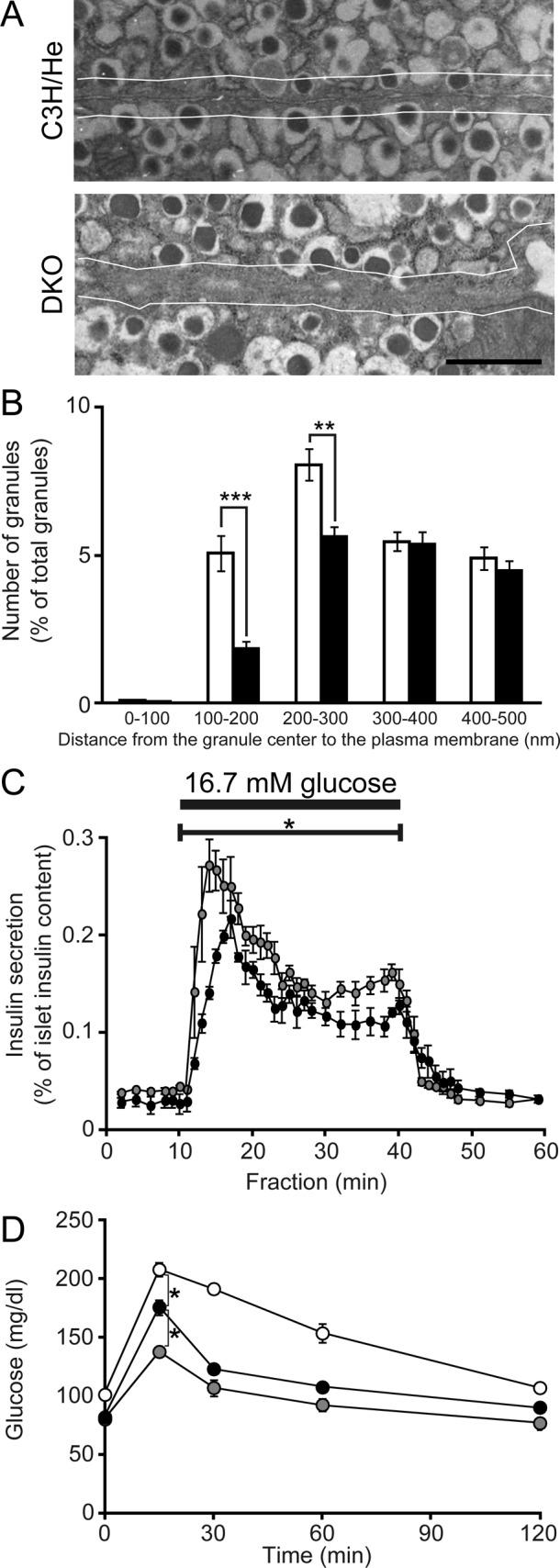 https://cdn.ncbi.nlm.nih.gov/pmc/blobs/7d02/3564536/007d69d6c2f2/319fig6.jpg