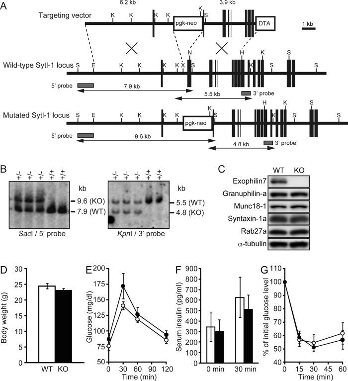 https://cdn.ncbi.nlm.nih.gov/pmc/blobs/7d02/3564536/80b44178f289/319fig3.jpg