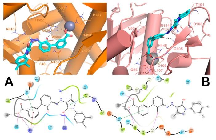 https://cdn.ncbi.nlm.nih.gov/pmc/blobs/7d08/6930672/4e38b46ae27c/molecules-24-04373-g002.jpg