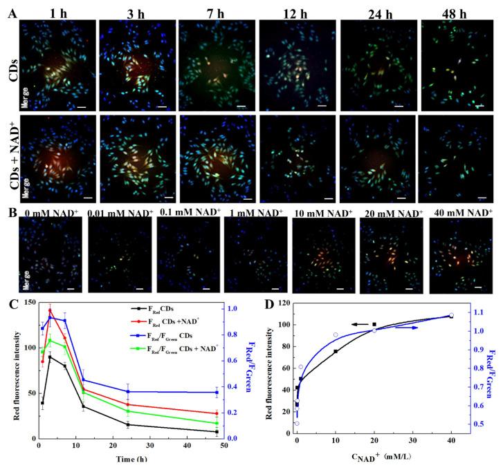 https://cdn.ncbi.nlm.nih.gov/pmc/blobs/7d28/11596318/867a56c37c0b/molecules-29-05308-g005.jpg