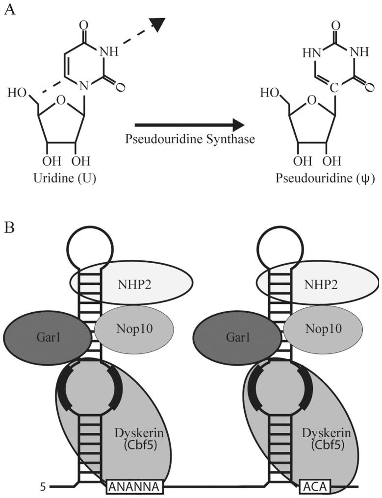 https://cdn.ncbi.nlm.nih.gov/pmc/blobs/7d28/4094583/042dabeb2e00/IJMM-34-02-0355-g02.jpg