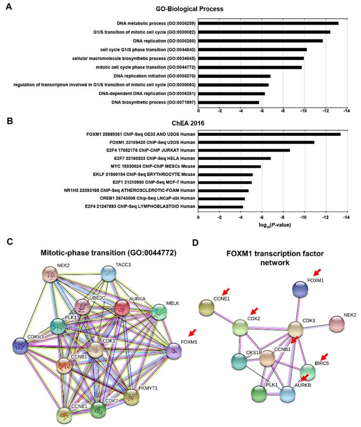 https://cdn.ncbi.nlm.nih.gov/pmc/blobs/7d3d/7693245/7245da4f93eb/biomedicines-08-00465-g002.jpg