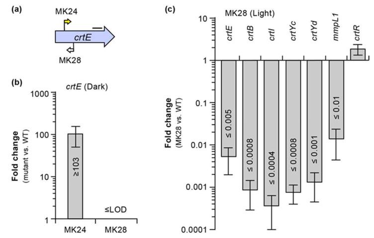 https://cdn.ncbi.nlm.nih.gov/pmc/blobs/7d4b/9861118/065389ccc46e/pathogens-12-00086-g009.jpg