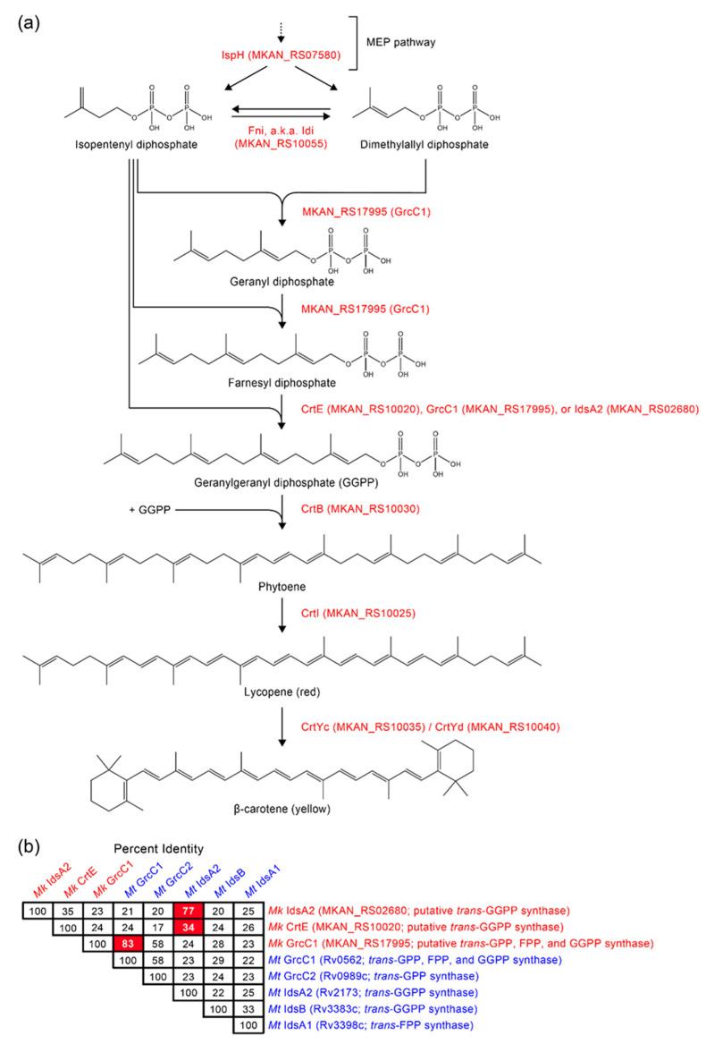 https://cdn.ncbi.nlm.nih.gov/pmc/blobs/7d4b/9861118/65166d815453/pathogens-12-00086-g003.jpg