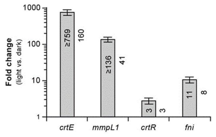 https://cdn.ncbi.nlm.nih.gov/pmc/blobs/7d4b/9861118/9c063a6e3789/pathogens-12-00086-g004.jpg