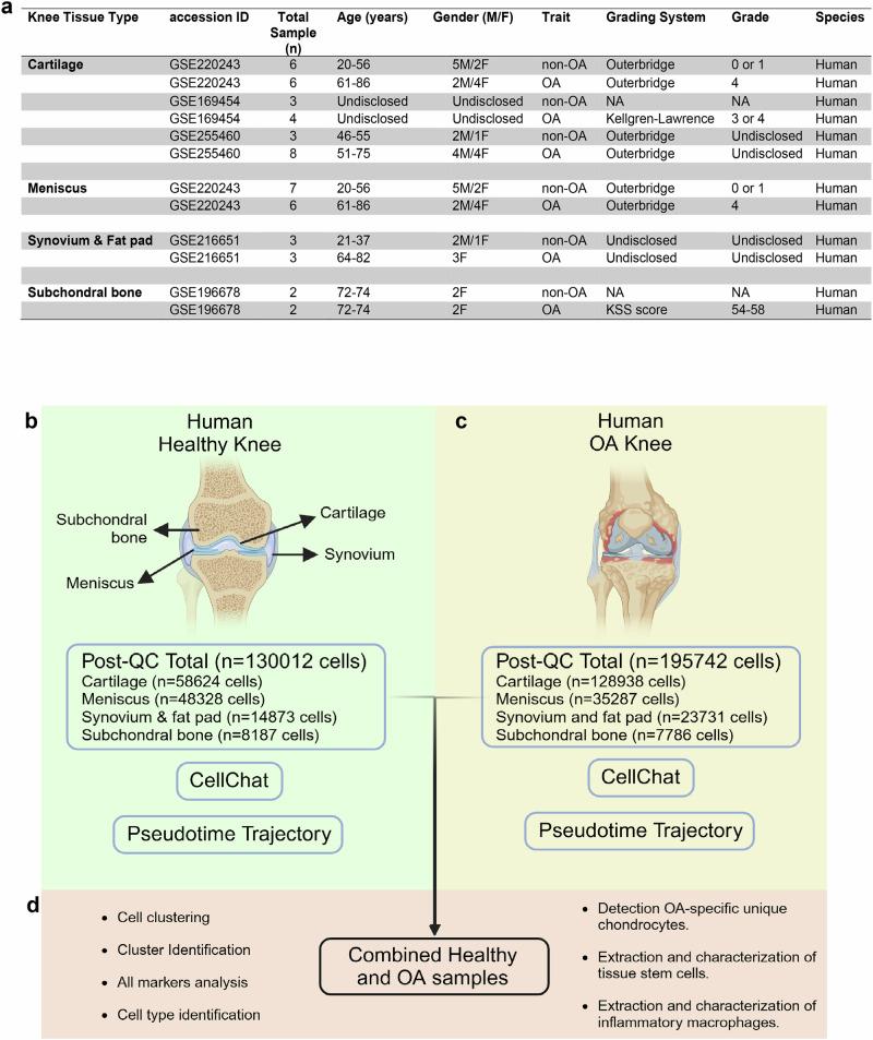 https://cdn.ncbi.nlm.nih.gov/pmc/blobs/7d53/12317986/f31fc0f5645c/42003_2025_8586_Fig1_HTML.jpg