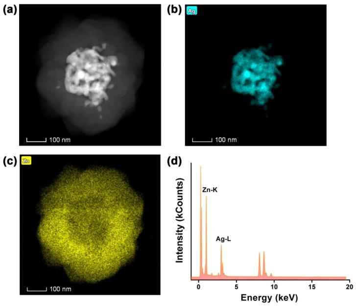 https://cdn.ncbi.nlm.nih.gov/pmc/blobs/7d57/10051616/b0655d49ebca/molecules-28-02781-g001.jpg