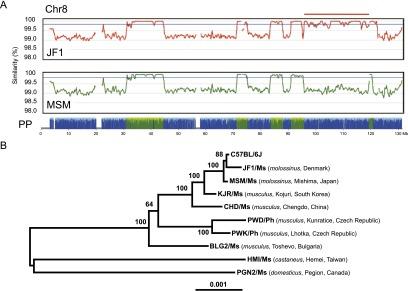 https://cdn.ncbi.nlm.nih.gov/pmc/blobs/7d61/3730106/900c0b65dde2/1329fig2.jpg