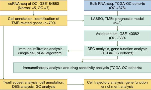https://cdn.ncbi.nlm.nih.gov/pmc/blobs/7d7e/11651752/6332d2cec101/tcr-13-11-6182-f1.jpg