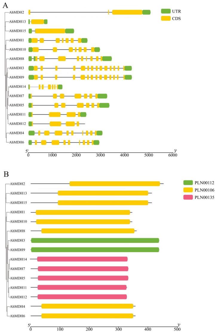 https://cdn.ncbi.nlm.nih.gov/pmc/blobs/7d8c/10743186/c13246a9e5b3/genes-14-02109-g001.jpg