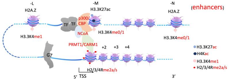 https://cdn.ncbi.nlm.nih.gov/pmc/blobs/7d9a/8945206/34a588d2426f/biomolecules-12-00347-g003.jpg