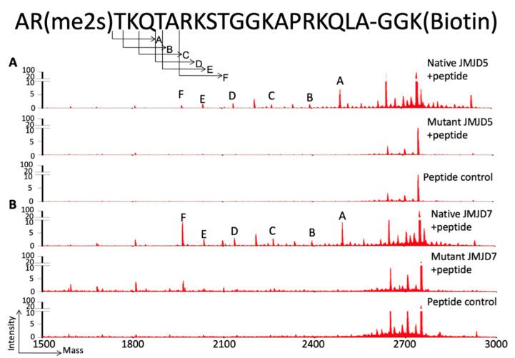 https://cdn.ncbi.nlm.nih.gov/pmc/blobs/7d9a/8945206/51d7e6b78720/biomolecules-12-00347-g009.jpg
