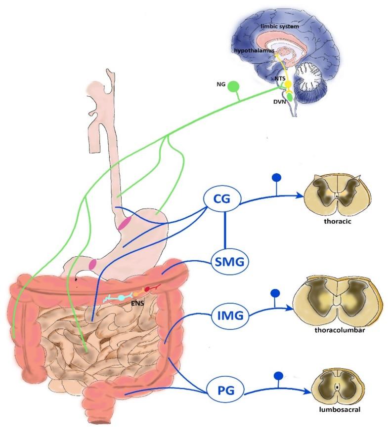https://cdn.ncbi.nlm.nih.gov/pmc/blobs/7d9f/6723473/f24dd920f64c/toxins-11-00449-g001.jpg