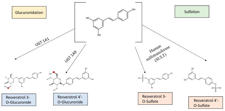 https://cdn.ncbi.nlm.nih.gov/pmc/blobs/7da2/9855921/54cde730d01f/biomedicines-11-00221-g002.jpg
