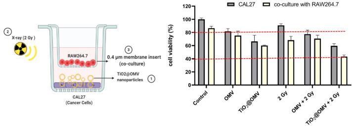 https://cdn.ncbi.nlm.nih.gov/pmc/blobs/7da8/11678132/2d7db2616374/nanomaterials-14-02045-g009.jpg