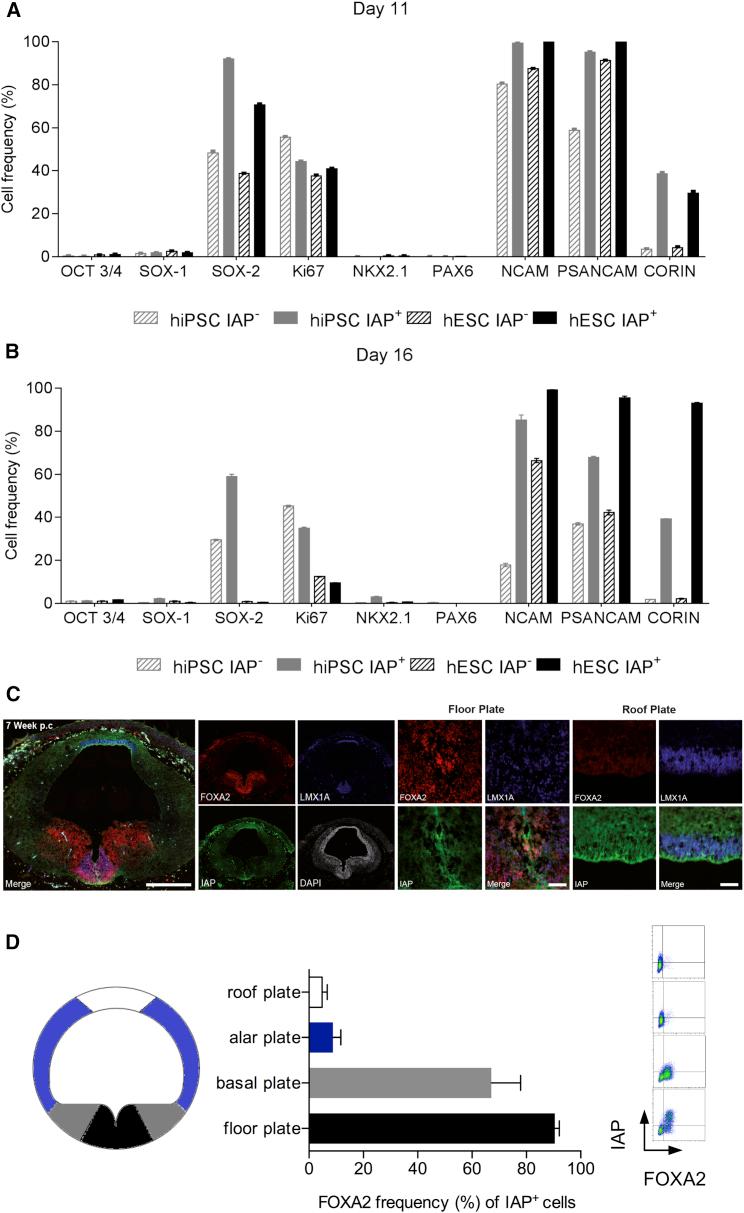 https://cdn.ncbi.nlm.nih.gov/pmc/blobs/7dac/5639383/c39c74095143/gr2.jpg