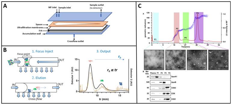 https://cdn.ncbi.nlm.nih.gov/pmc/blobs/7dae/10708636/1fbef46fc267/sensors-23-09432-g005.jpg