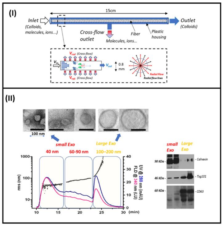 https://cdn.ncbi.nlm.nih.gov/pmc/blobs/7dae/10708636/3174cd1cd655/sensors-23-09432-g006.jpg