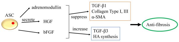 https://cdn.ncbi.nlm.nih.gov/pmc/blobs/7db5/9775346/922c3d9ceb18/biomedicines-10-03082-g005.jpg