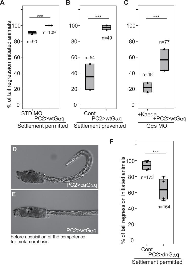 https://cdn.ncbi.nlm.nih.gov/pmc/blobs/7dc2/12176390/94a87c763644/elife-99825-fig6-figsupp2.jpg