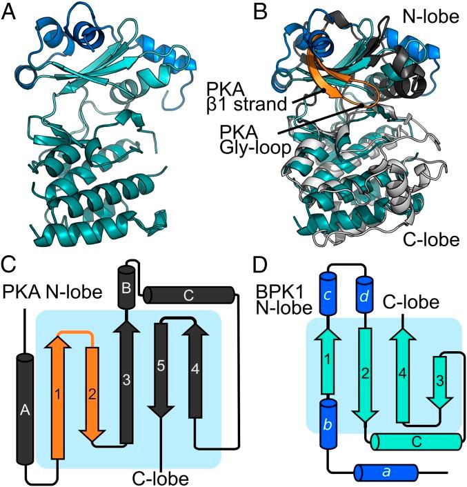 https://cdn.ncbi.nlm.nih.gov/pmc/blobs/7dc2/6442604/d3cd643becf8/pnas.1816161116fig03.jpg