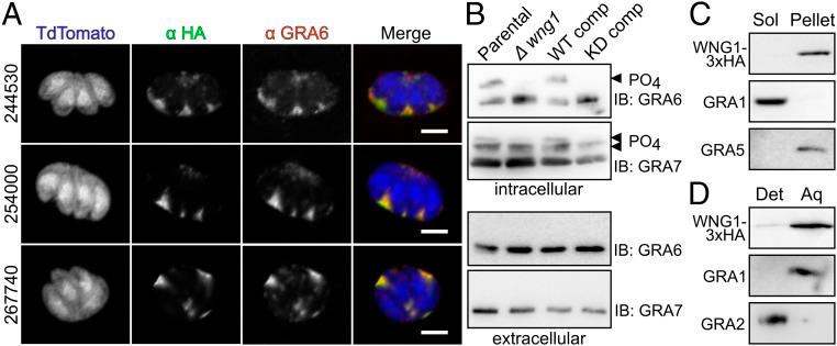 https://cdn.ncbi.nlm.nih.gov/pmc/blobs/7dc2/6442604/d691e55cda13/pnas.1816161116fig07.jpg