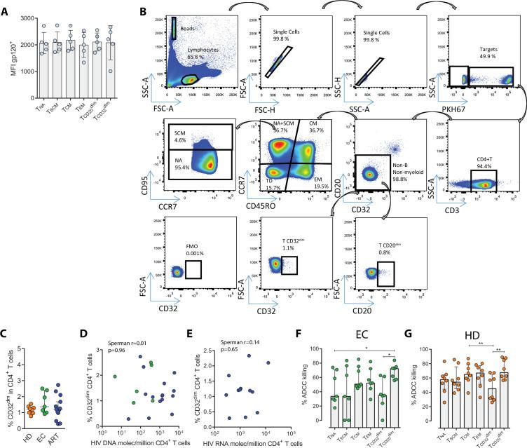 https://cdn.ncbi.nlm.nih.gov/pmc/blobs/7dcb/9177146/452c354edb35/elife-78294-fig1-figsupp1.jpg