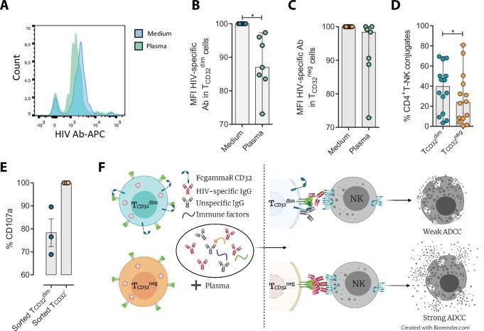 https://cdn.ncbi.nlm.nih.gov/pmc/blobs/7dcb/9177146/c2a02a491a08/elife-78294-fig4.jpg