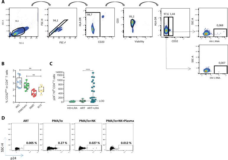 https://cdn.ncbi.nlm.nih.gov/pmc/blobs/7dcb/9177146/f2fd300cd007/elife-78294-fig2-figsupp1.jpg