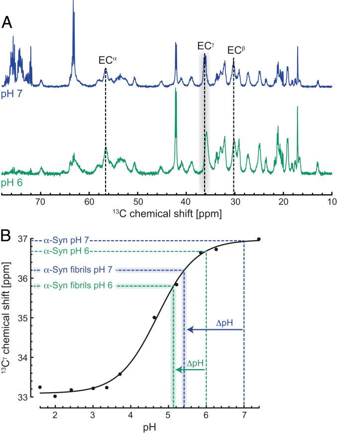 https://cdn.ncbi.nlm.nih.gov/pmc/blobs/7de6/7958257/06af2c5c8e53/pnas.2012171118fig04.jpg