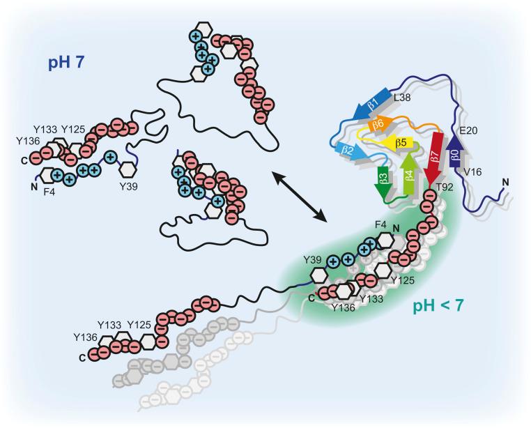 https://cdn.ncbi.nlm.nih.gov/pmc/blobs/7de6/7958257/8e9f8201e8cb/pnas.2012171118fig05.jpg