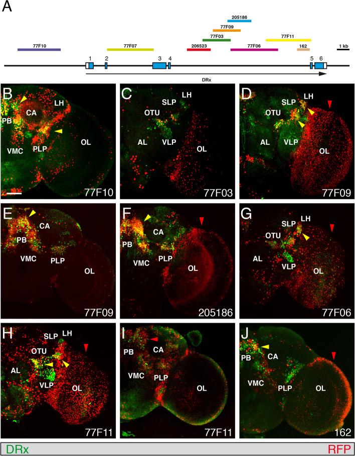 https://cdn.ncbi.nlm.nih.gov/pmc/blobs/7de8/8569992/7b9ac7177ffb/41065_2021_210_Fig6_HTML.jpg
