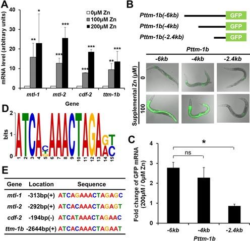 https://cdn.ncbi.nlm.nih.gov/pmc/blobs/7ded/4333406/1ff04ef4ee45/gku1360fig1.jpg