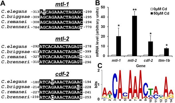 https://cdn.ncbi.nlm.nih.gov/pmc/blobs/7ded/4333406/c3ccf77c1e97/gku1360fig2.jpg