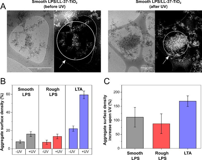https://cdn.ncbi.nlm.nih.gov/pmc/blobs/7df9/11551910/62e9e9454660/am4c15706_0003.jpg