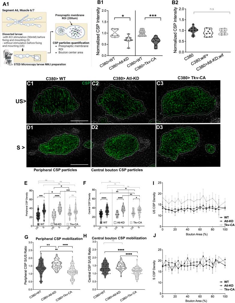 https://cdn.ncbi.nlm.nih.gov/pmc/blobs/7dff/10503011/779259b6e21c/40659_2023_462_Fig2_HTML.jpg