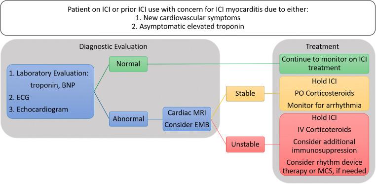 https://cdn.ncbi.nlm.nih.gov/pmc/blobs/7e03/7821837/db194367bf36/11886_2021_1440_Fig1_HTML.jpg