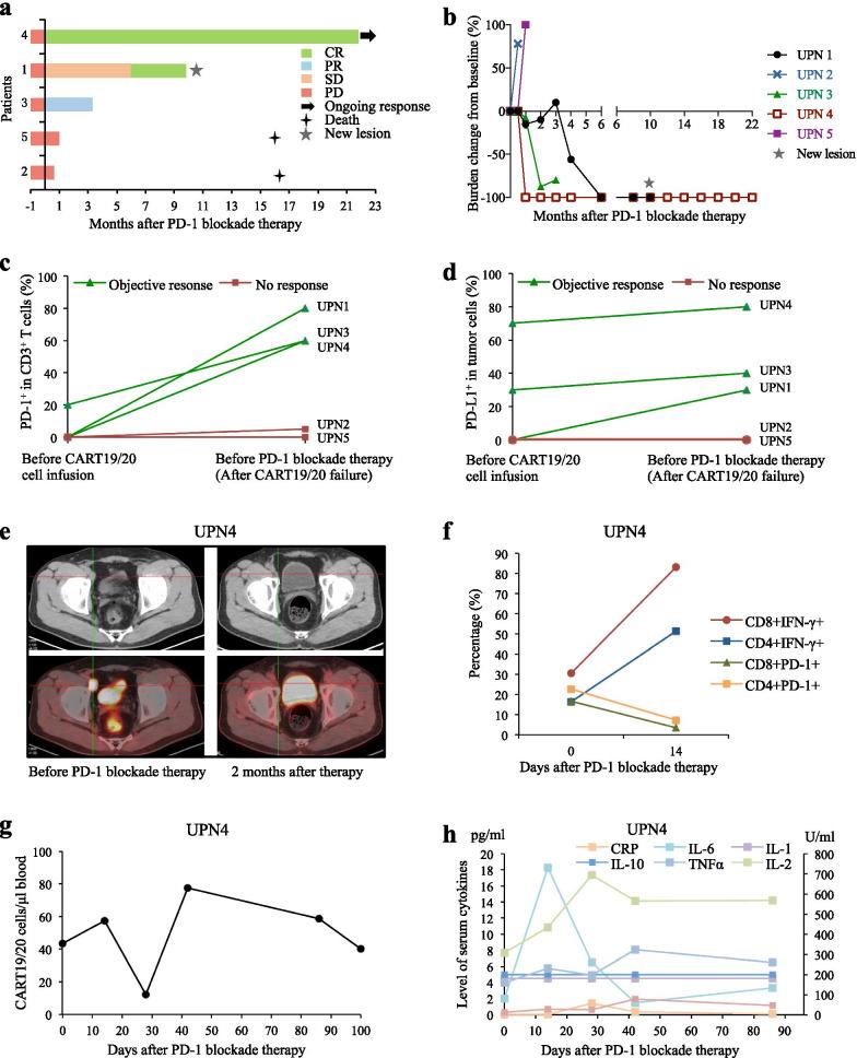 https://cdn.ncbi.nlm.nih.gov/pmc/blobs/7e17/8259370/2ec330d35546/13045_2021_1120_Fig1_HTML.jpg