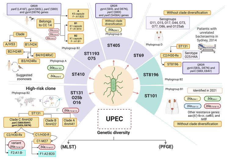 https://cdn.ncbi.nlm.nih.gov/pmc/blobs/7e1a/12029274/5bbdba257a61/microorganisms-13-00745-g001.jpg
