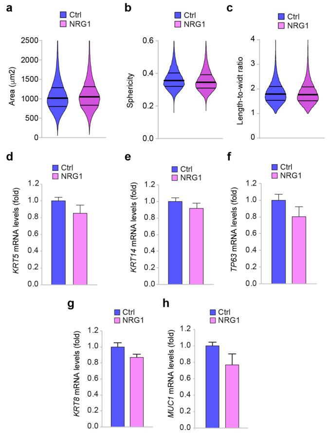 https://cdn.ncbi.nlm.nih.gov/pmc/blobs/7e2c/8997077/0c8c13c04055/cancers-14-01603-g004.jpg