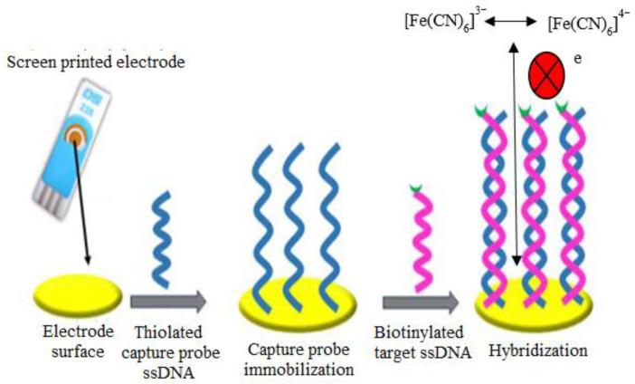 https://cdn.ncbi.nlm.nih.gov/pmc/blobs/7e33/8346961/d8a3f698c817/sensors-21-05114-g009.jpg